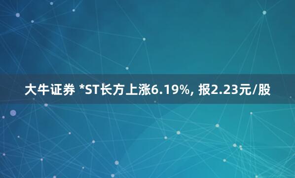 大牛证券 *ST长方上涨6.19%, 报2.23元/股